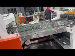 Impressão personalizada de chapas de folha de flandres CMYK4/CMYK6 para corpo de latas